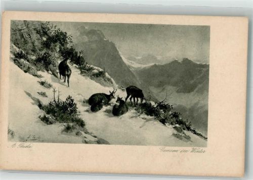 Gemsen im Winter Verlag Hermann A. Wiechmann Nr. 1195
