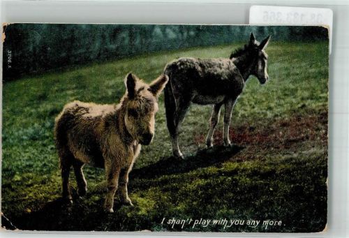 1909 Zwei kleine Esel auf einer Weide