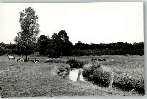 Hanstedt Foto Original aus Archiv eines Ansichtskartenverlags