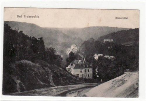 Bad Freienwalde Bad Freienwalde. Abgebildet ist das Brunnthal. Postalisch befördert mit Marke 1912. Die Marke wurde entfernt. Die Karte ist leicht fleckig, sonst gut erhalten.