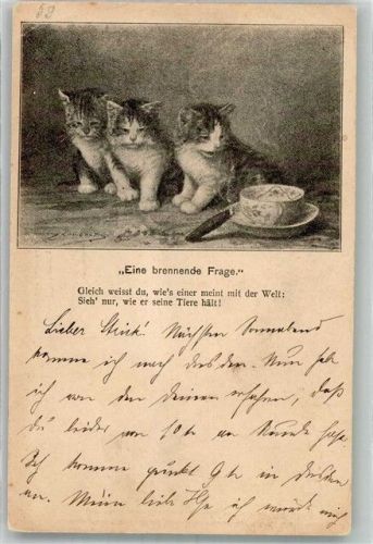 W1000 Berlin Mitte sign. Lambert Eugene Katzen Zigarre Tierschutz 1912 Gebrauchsspuren