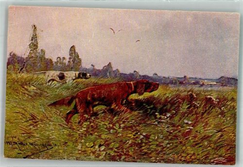 Jagdhunde Pointer und Irish Setter L. u. P. 7056-4
