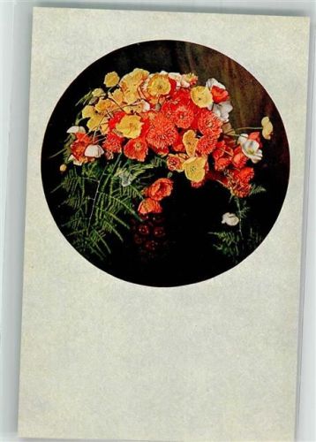 Bunte Feld- und Wiesenblumen Fotograf Friese Novitas 30356 Passepartout