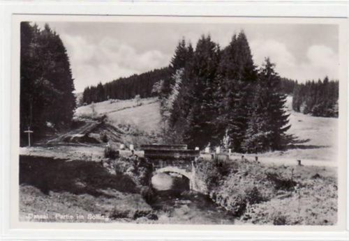 Dassel Dassel. Partie im Solling ungelaufen Sehr gut erhalten.
