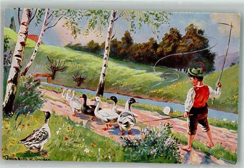 Junge treibt Gänse auf Feldweg durch Frühlingslandschaft