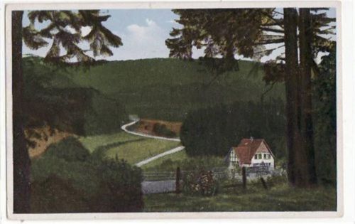 Warstein, Künstlerkarte mit Langenbachtal und Forsthaus ungelaufen Gute Erhaltung.