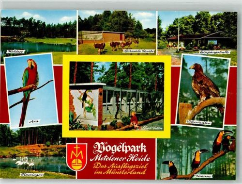 Metelen Vogel- und Freizeitpark Metelener Heide Waldsee Papagei Strauß Adler Tukane Flamingos