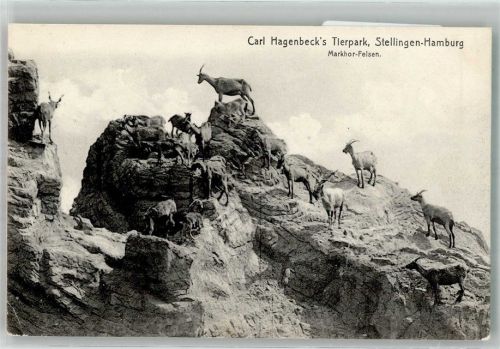 Stellingen Makhor-Felsen Verlag Knackstedt & Näther 169