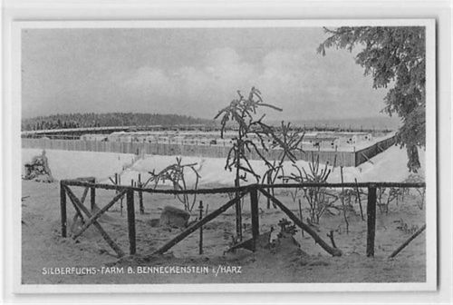 Benneckenstein BennEcke nstein im Harz. Silberfuchs-Farm im Winter ungelaufen Top Erhaltung.