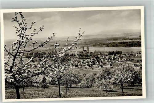 Weißenau Panorama des Ortes mit Münsterkirche St. Peter und Paul Fotograf Sterkel