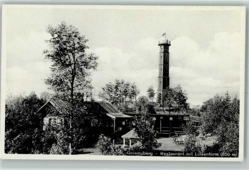 Geising Gasthaus Luisenturm Geisingberg