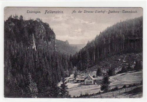 Falkenstein i. Thür. Partie an der Straße Oberhof-Dietharz-Tambach ungelaufen Eckbug oben links, sonst gut erhalten.