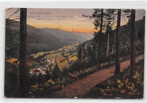 Blick in den Höllgrund vom Weg nach Waldkatzenbach gelaufen. leichte Abschürfungen, leicht fleckig, sonst gut erhalten