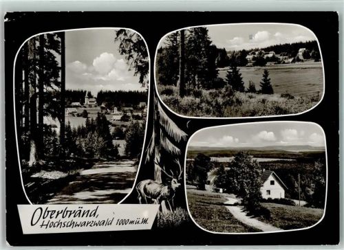 79871 W7821 Oberbränd - Tanne Hirsch Mond Wanderweg