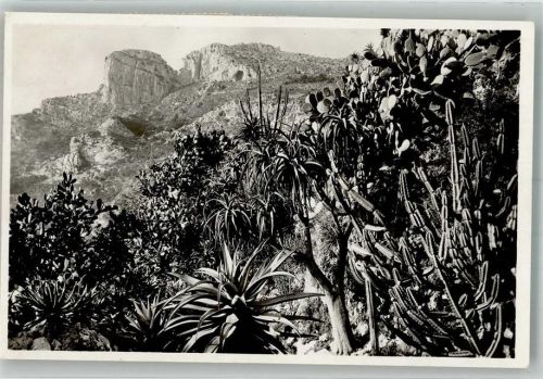 Monaco Les Jardins Exotiques