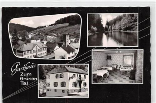 Waldleiningen. Gasthaus "Zum grünen Tal" gelaufen. Leichter Stempeldurchdruck, kleiner Knick unten links, sonst gut erhalten