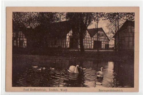 Bad Rothenfelde mit Springmühlenteich ungelaufen Gute Erhaltung.