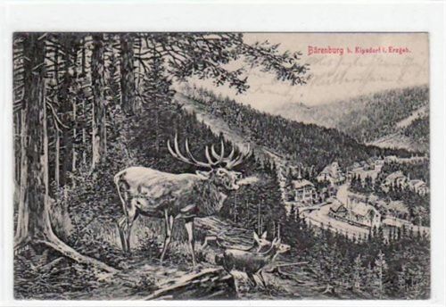 Kurort Bärenburg Bärenburg bei Kipsdorf i. Erzgeb. mit Blick vom Wald aus. Feldpost, mit Stempel von 1913. Gute Erhaltung.