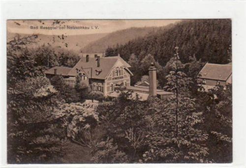 Netzschkau Netzschkau mit Bad Rosental gelaufen von 1923. Leichte Stempelspuren, sonst gut erhalten