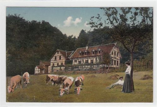 Michelstadt im Odenwald. Luftkurort Waldhorn gelaufen, Marke entfernt, leichte Abrißspuren. Ecken mit Albumabdrücken, sonst gut erhalten