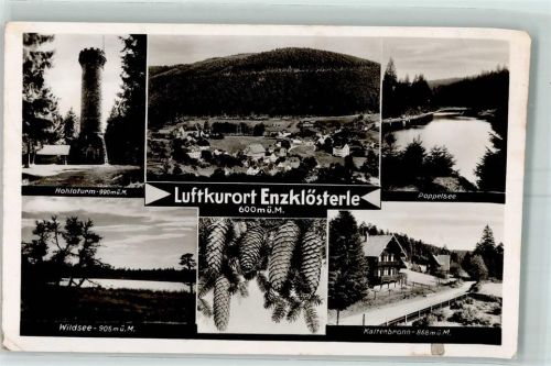 Enzklösterle Hohloturm Wildsee Poppelsee Tannzapfen