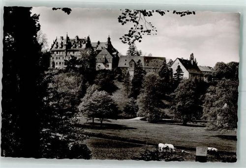 Lauterbach Schloss Eisenbach Kühe