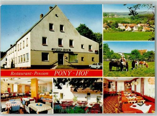 Pressath Gasthaus Pension Pony Hof Ponys