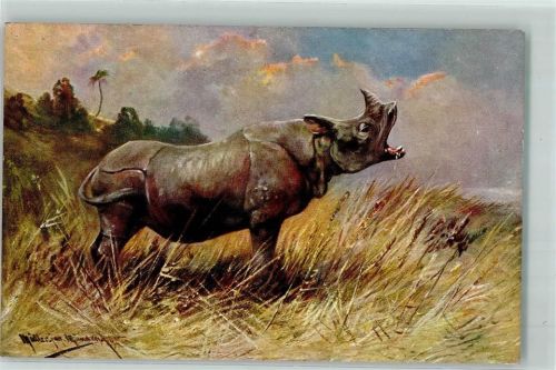 Rhinozeros sign. Müller jun. München AK Nashorn Künstlerkarte