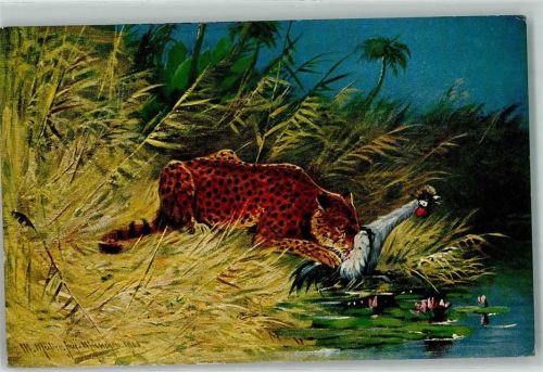 Jaguar mit Federwild Beute sign. A. Müller jun. München AK