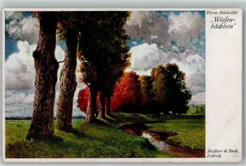 1917 Meissner u. Buch Wiesenbächlein Landschaft AK