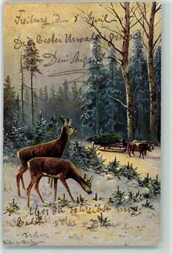 1905 Tiergespann mit Schlitten Tannenbaum wird transportiert + Jagdtiere Rehe