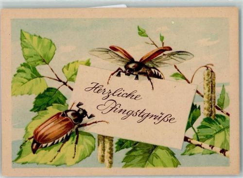 sitzen auf Birkenblätter Pfingsten AK