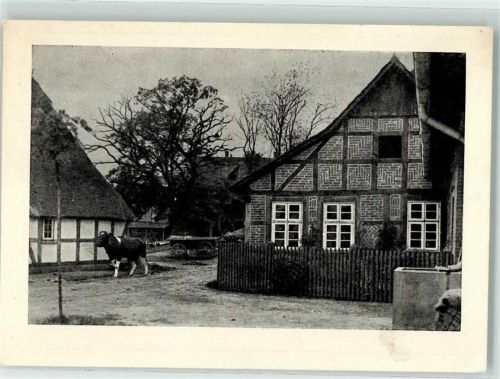 W3061 Wiedensahl Geburtshaus AK Busch Wilhelm