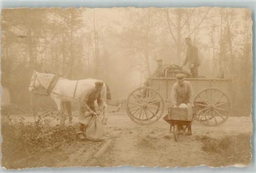 1918 Tiergespann Ernte