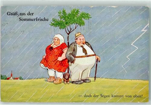 Sommerfrische Regen Hund Spazierstock