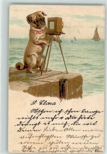 1902 Prägedruck Litho Hund vermenschlicht AK