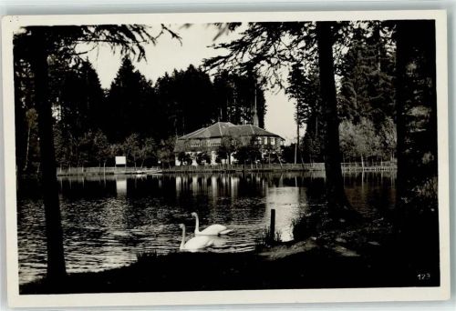 Lindenberg Hotel am Waldsee Schwäne
