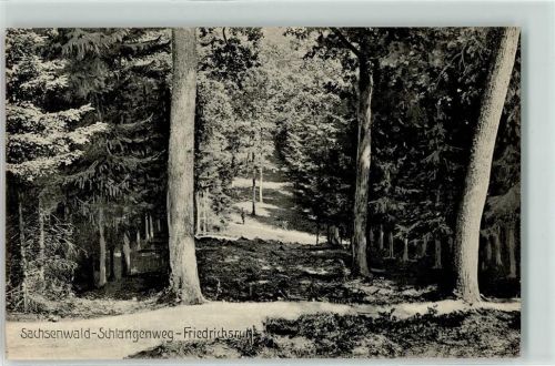 Friedrichsruh 1912 Schlangenweg Sachsenwald