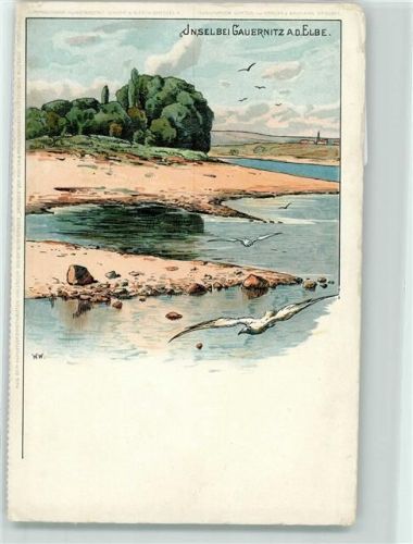 01665 O8251 Gauernitz Gebrauchsspuren Insel Möven