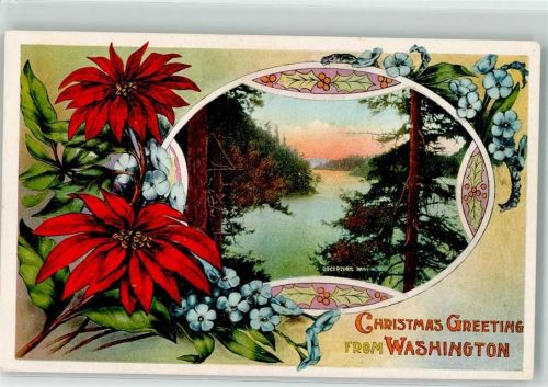 Christmas Greeting from Washington - Städteglückwünsche Puplished by Edw. Mitchel San Fancisco - Weihnachten