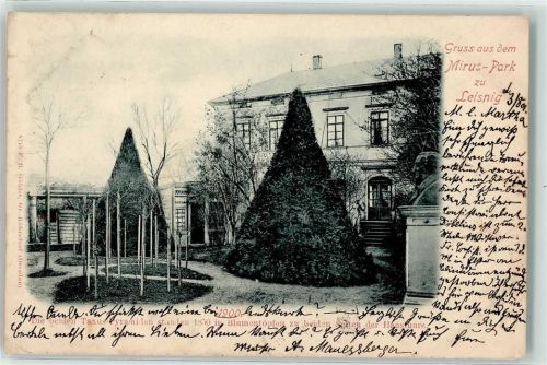 Leisnig 1901 Mirus Park die beiden Taxuspyramiden standen in Blumentöpfen zu beiden Seiten der Haustüre