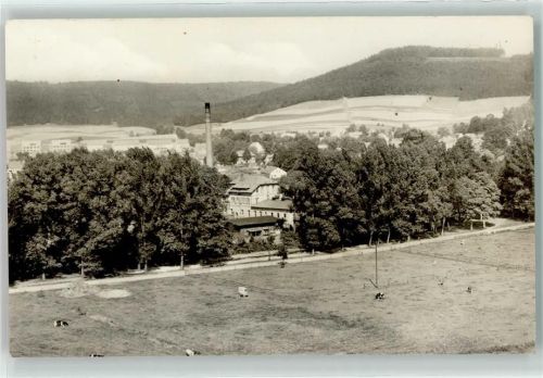 Stadtlengsfeld Kühe