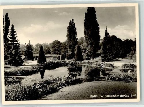 Lichterfelde Botanischer Garten Teich