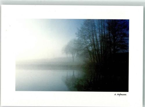 Selb der Heidteich