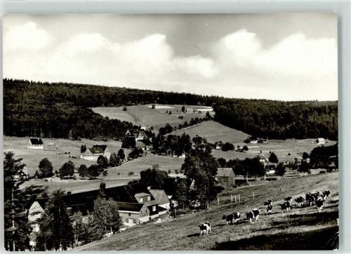 Rehefeld-Zaunhaus FDGB Heim Aufbau Rinderweide