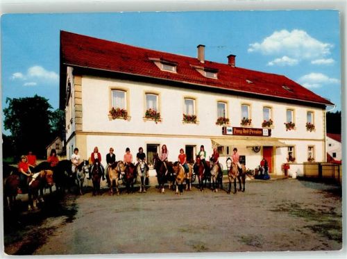 Steinbach Pony Reit Pension Weidner Pferde