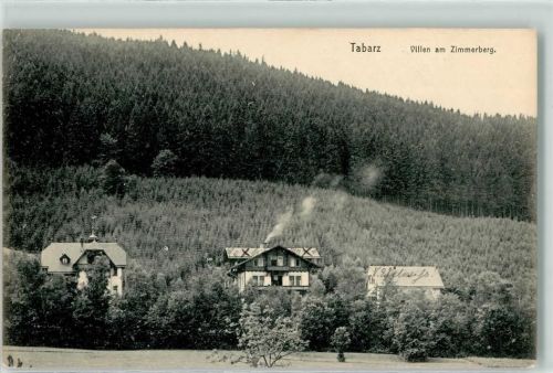 Tabarz 1911 Villen am Zimmerberg