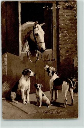1921 Pferd Beagel Harrier Jack Russell