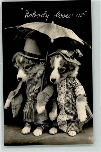 Hunde