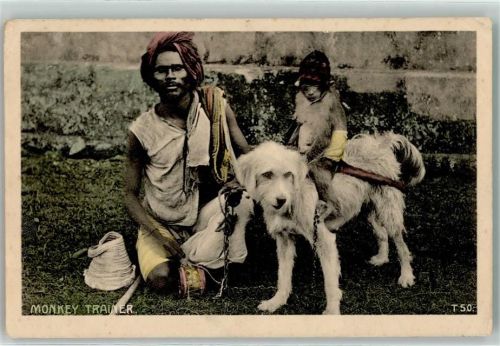 Affentrainer Indien Hund